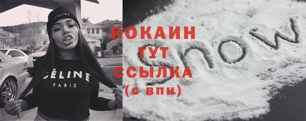 бошки Новодвинск