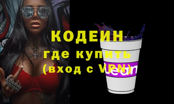 крисы Новозыбков