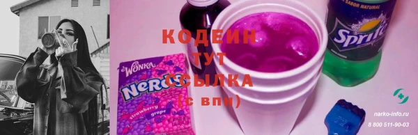 крисы Новозыбков