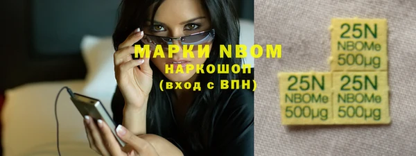 бошки Новодвинск