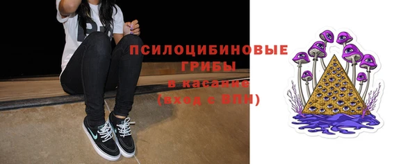 крисы Новозыбков