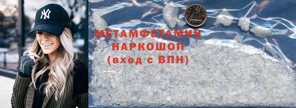 крисы Новозыбков