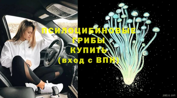 спайс Гусев