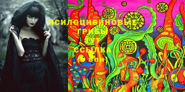 бошки Новокубанск