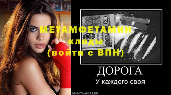 крисы Новозыбков