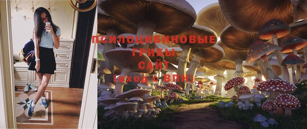 бошки Новодвинск