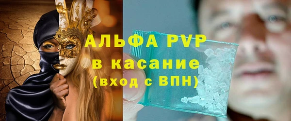 крисы Новозыбков