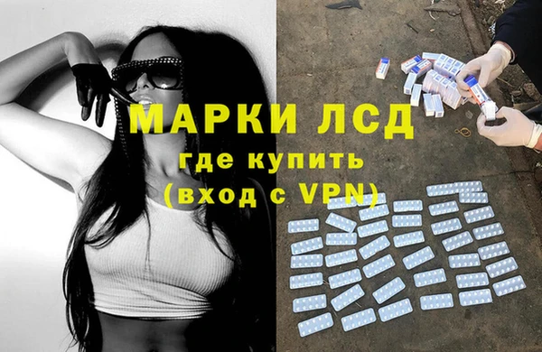 крисы Новозыбков