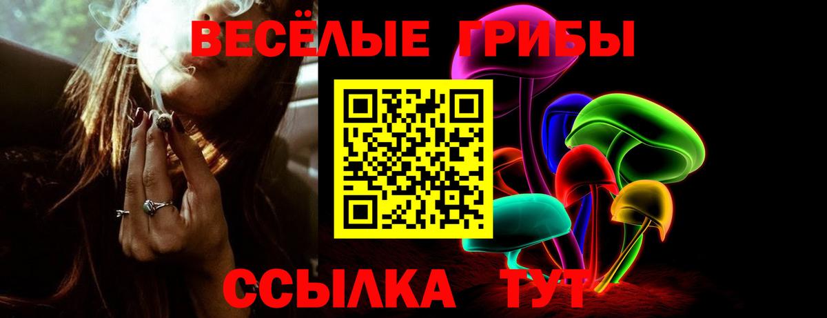 Псилоцибиновые грибы мицелий Реж